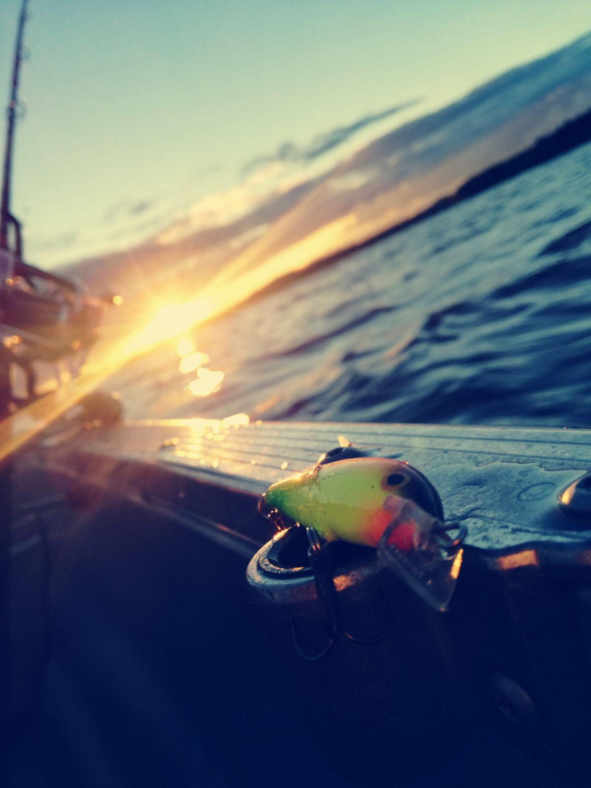 ♻️Käytetyt vieheet