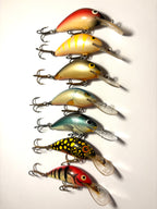 Salmo Hornet 4 (käytetty)