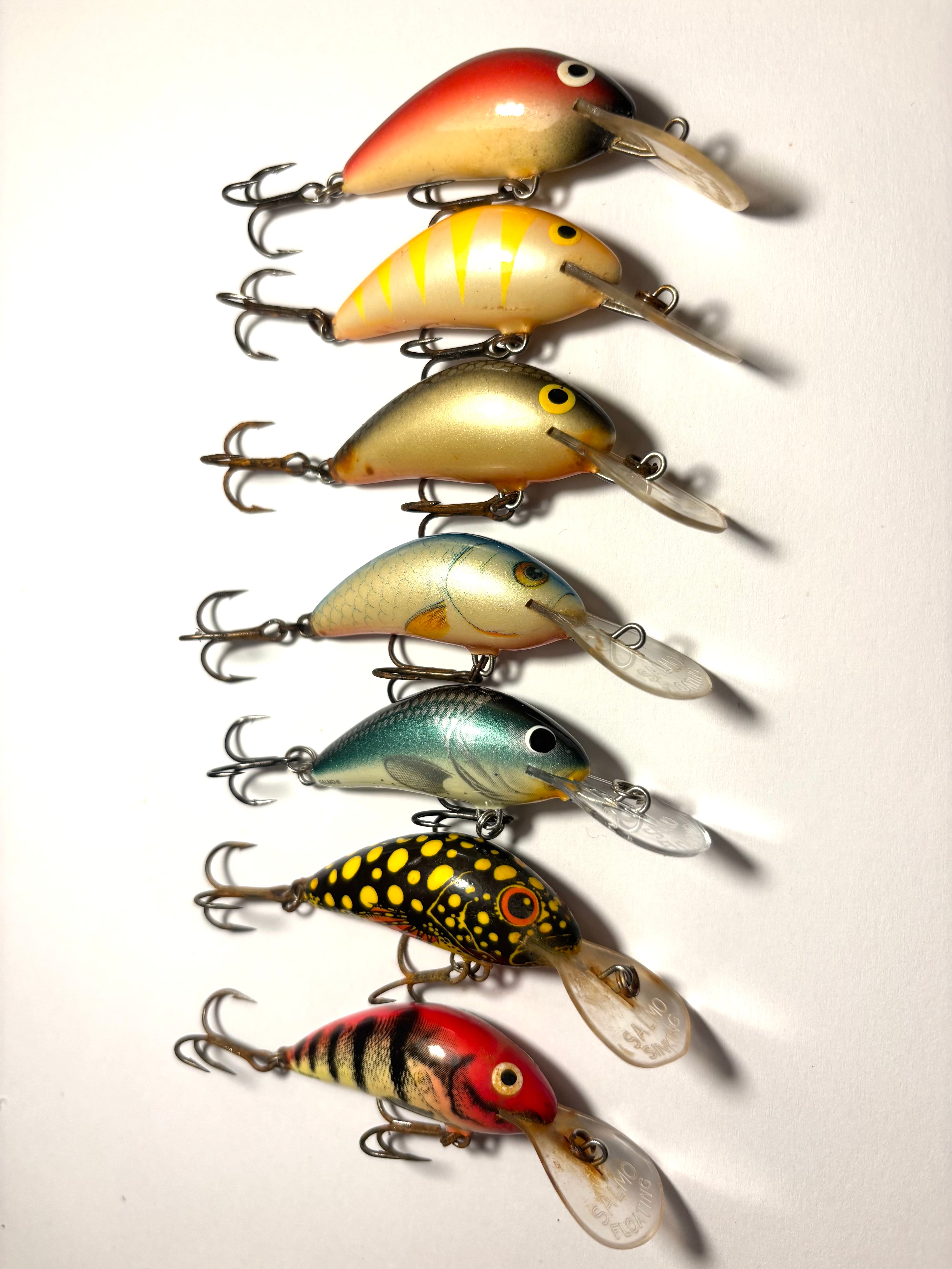 Salmo Hornet 4 (käytetty)