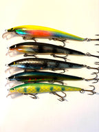 Lappia 12cm (käytetty)