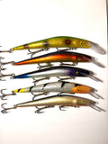 Sepentuuri 14cm (käytetty)