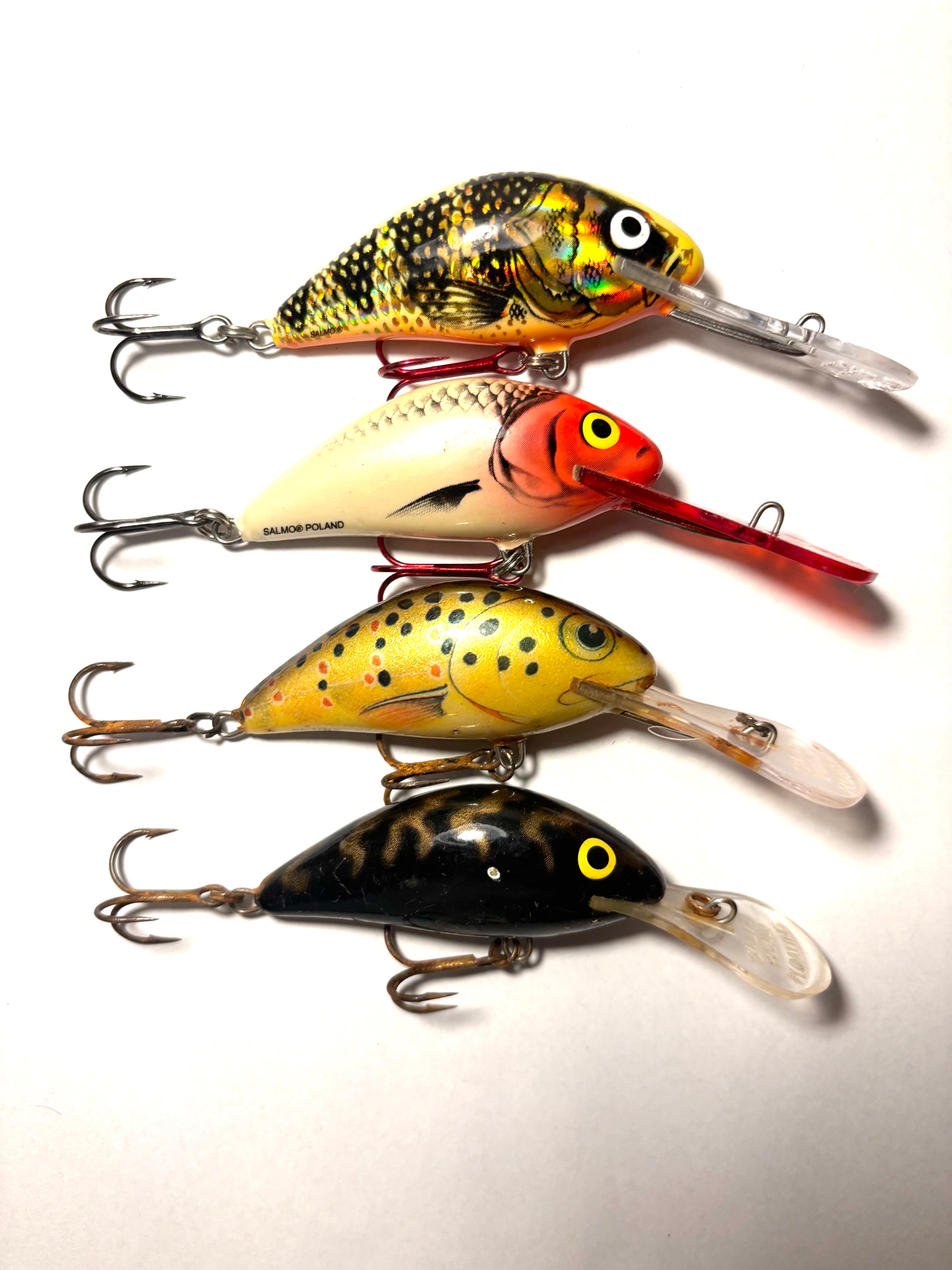 Salmo Hornet 6 (käytetty)