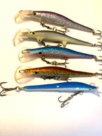 Sepentuuri taimen 10cm (käytetty)