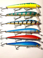 Nils Master Invincible 15cm (käytetty)