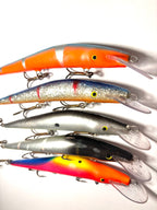 Sepentuuri 14cm (käytetty)