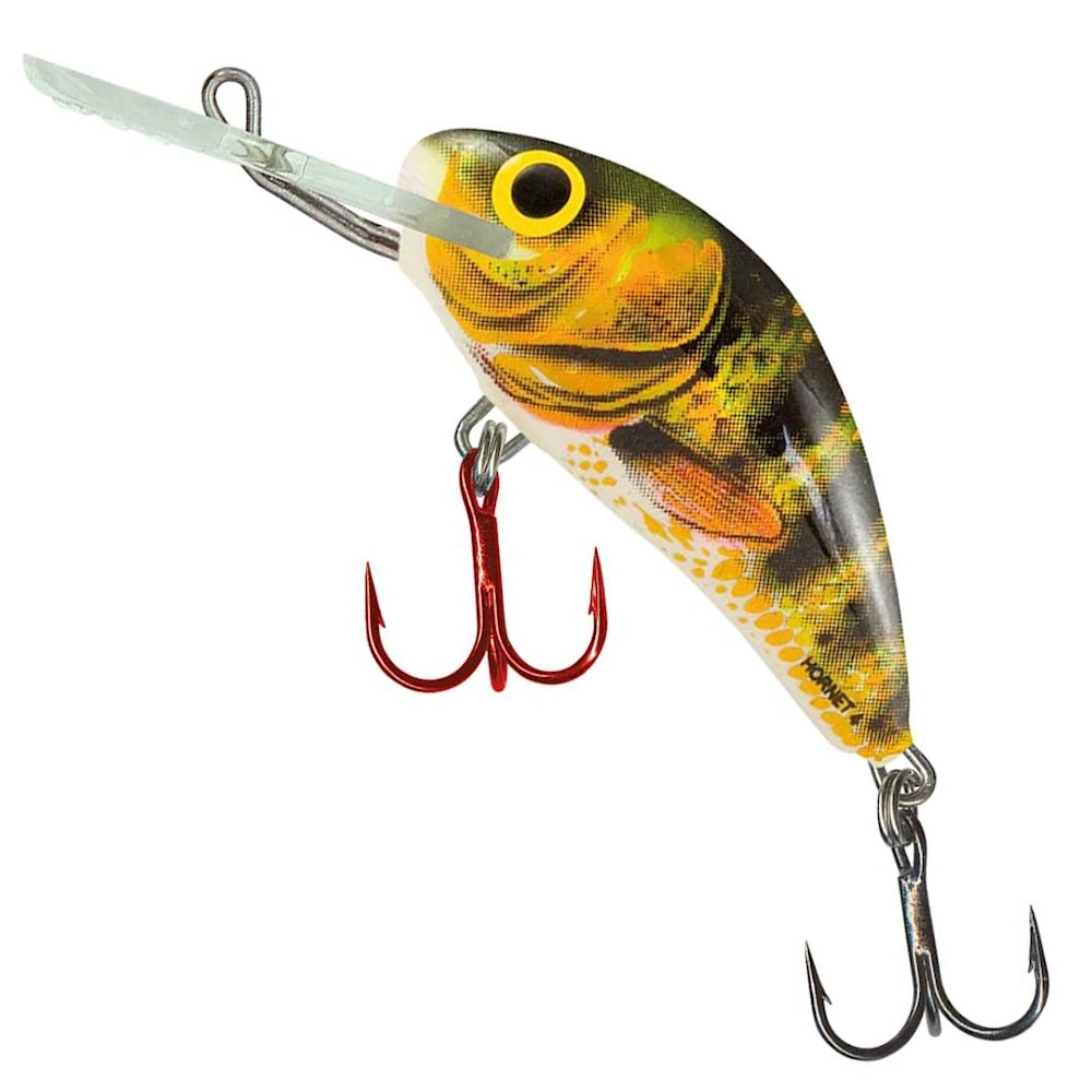 Salmo Hornet 4