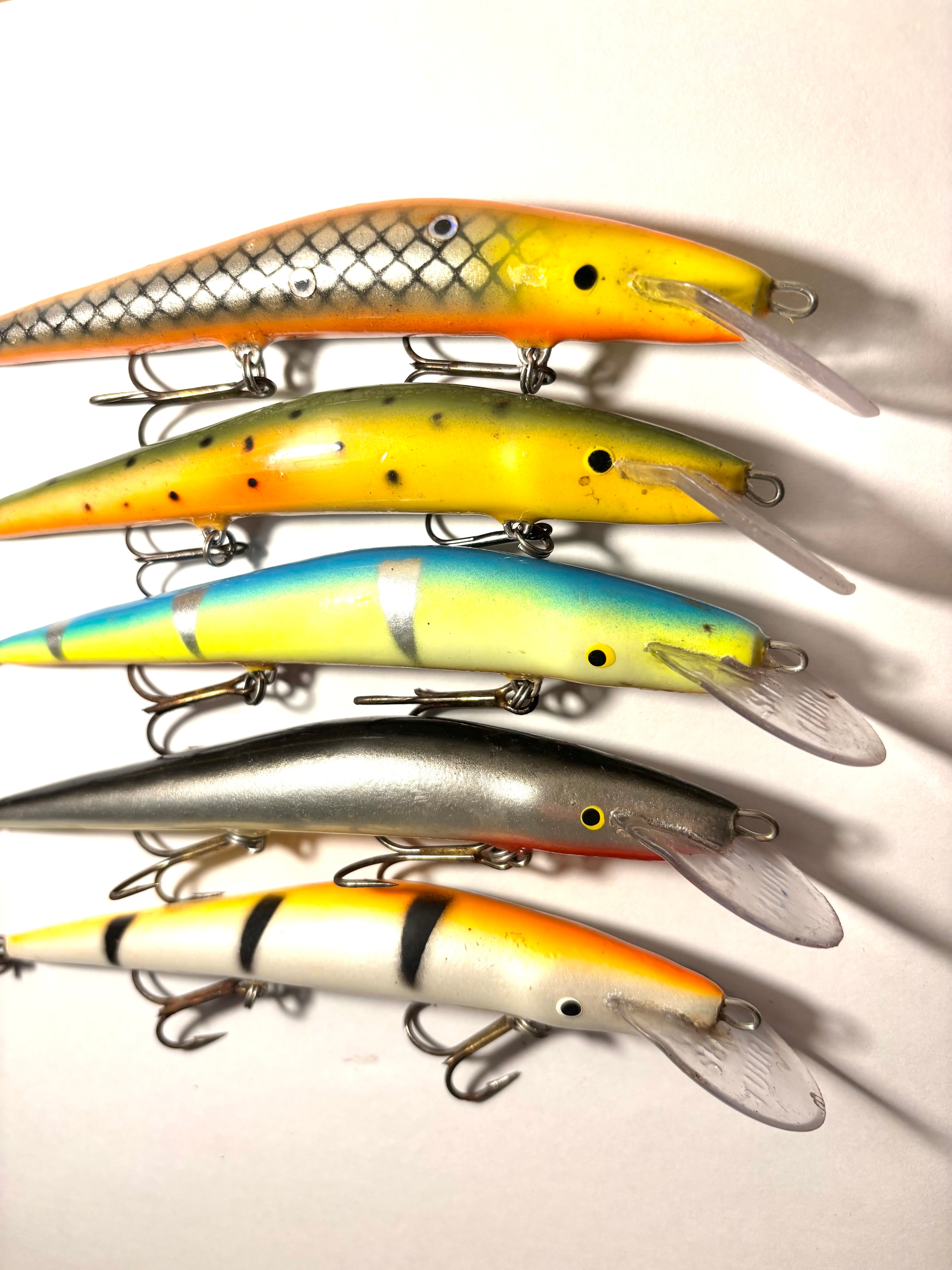 Sepentuuri 14cm (käytetty)