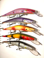 Sepentuuri 14cm (käytetty)