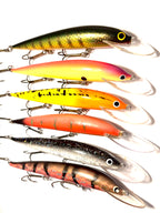 Lohikas 14cm (käytetty)