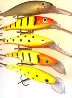Jesse 14cm (käytetty)