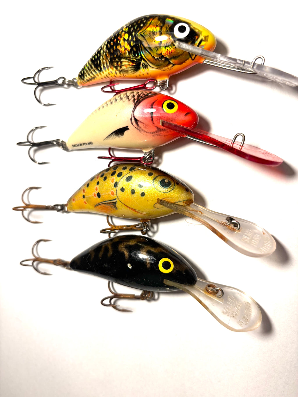 Salmo Hornet 6 (käytetty)