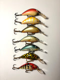 Salmo Hornet 4 (käytetty)