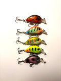 Jakki Kirjolohi 3cm (käytetty)