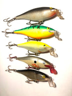 Rapala Shallow ShadRap (käytetty)