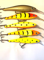 Jesse 14cm (käytetty)