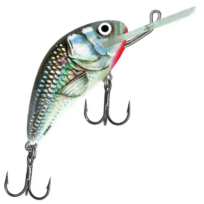 Salmo Hornet 6F
