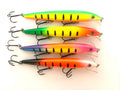 Rapala Scatter Husky (käytetty)