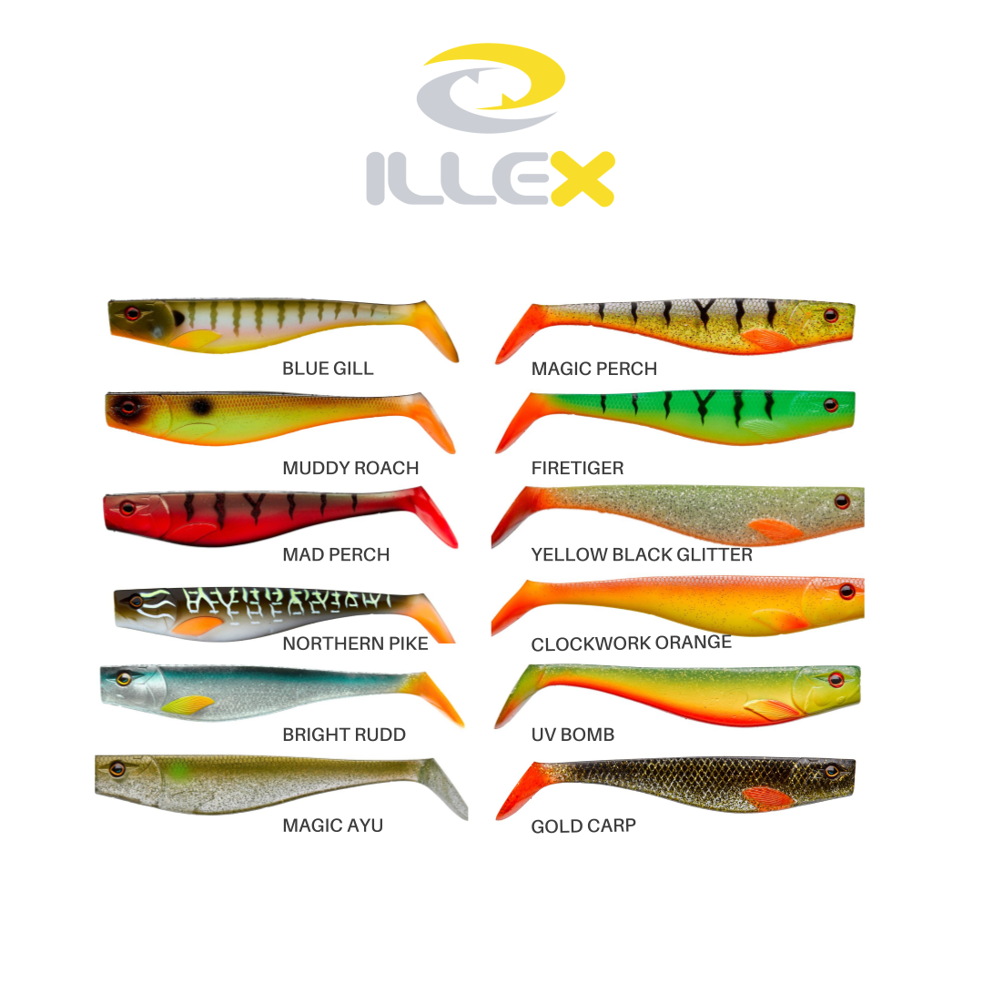 Kokoelma kuva dexter shad 250 värikartasta.