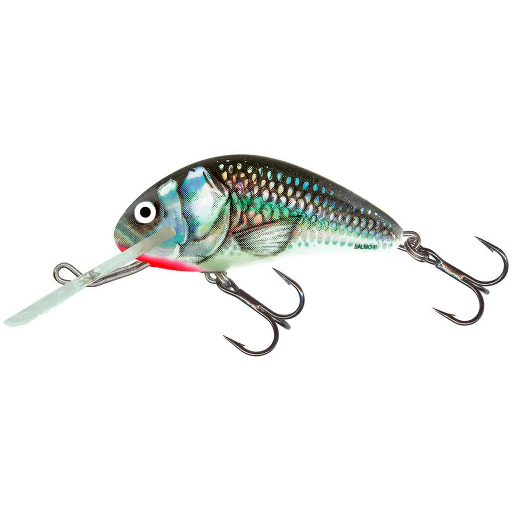 Salmo Hornet 4F