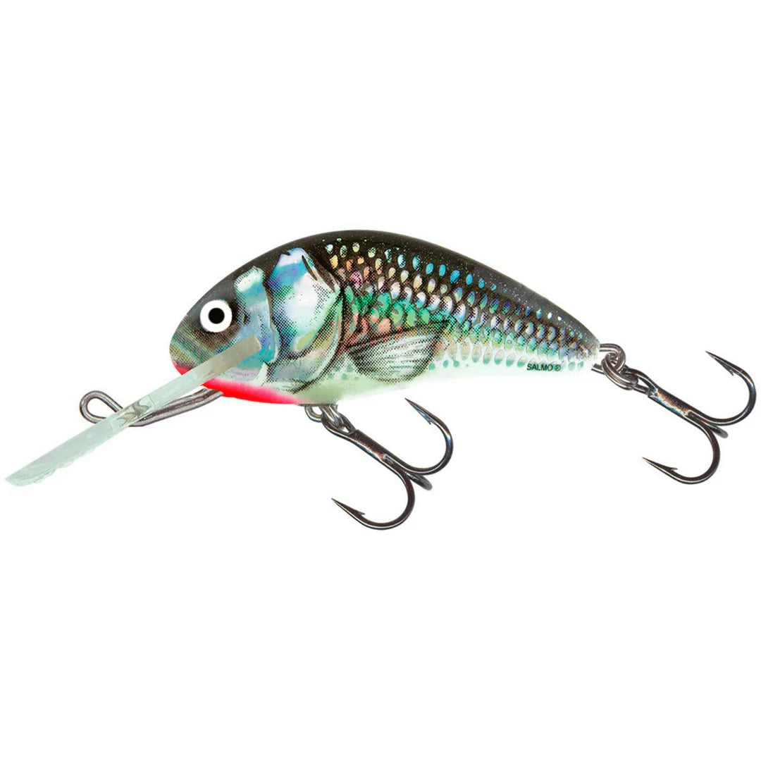 Salmo Hornet 4F