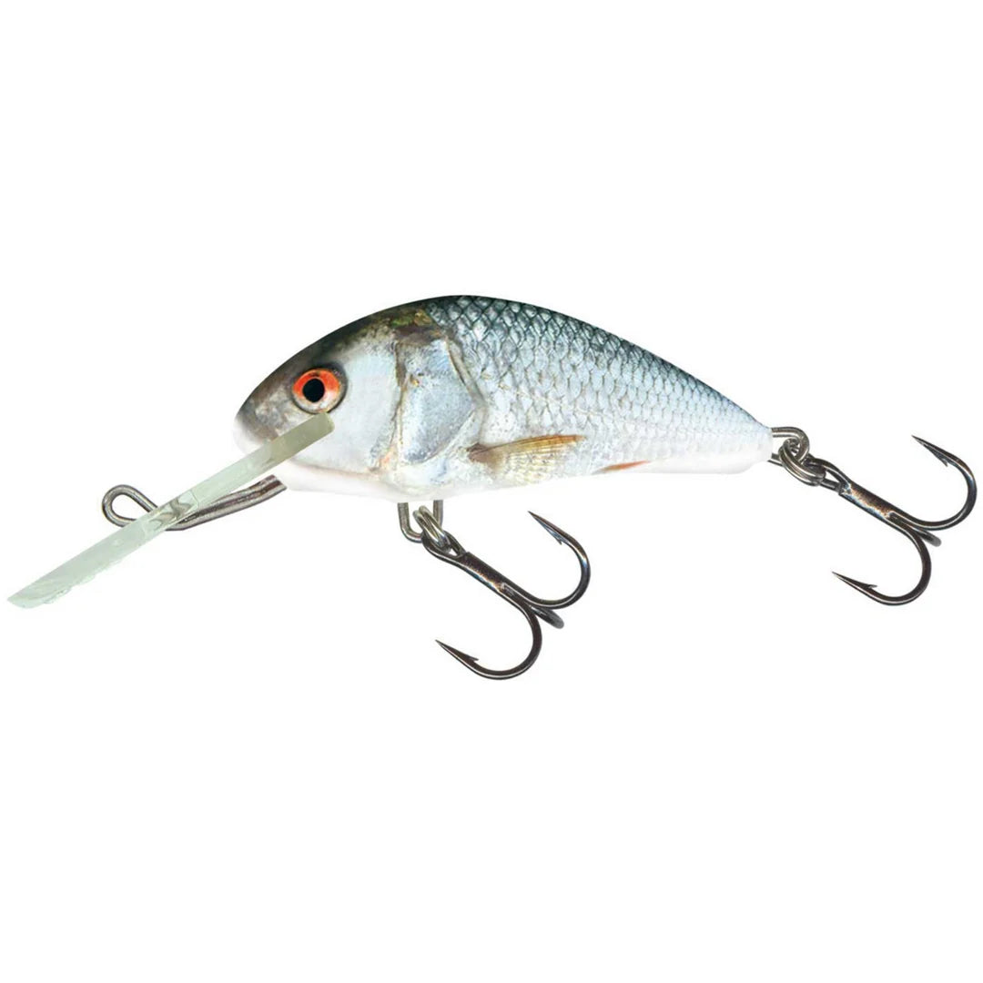 Salmo Hornet 4F