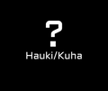 Mysteeri vaappusetti hauki/kuha (käytetty)