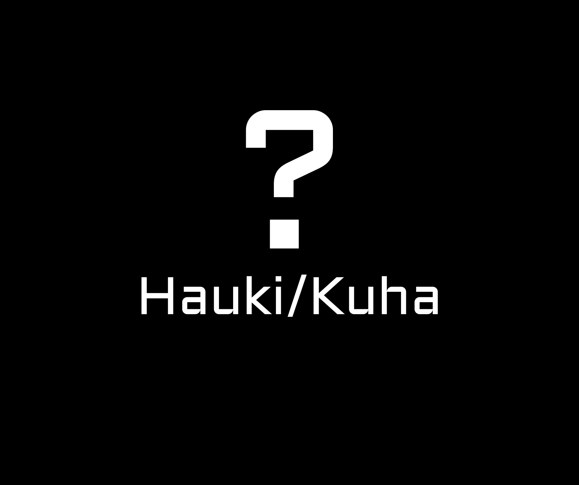 Mysteeri vaappusetti hauki/kuha (käytetty)