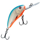 Salmo Hornet 6F